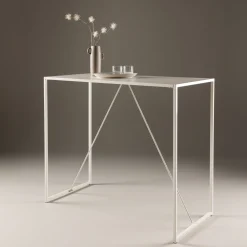 Bartafel Dionicia 120 x 60cm