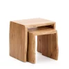 Bijzettafel Lomiri Acaciahout, Set van 2 stuks