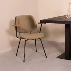 Eetkamerstoel Gastron Velvet