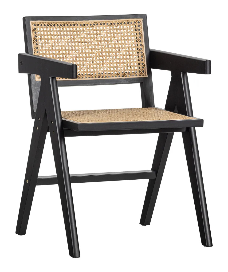 Eetkamerstoel Gunn Rotan