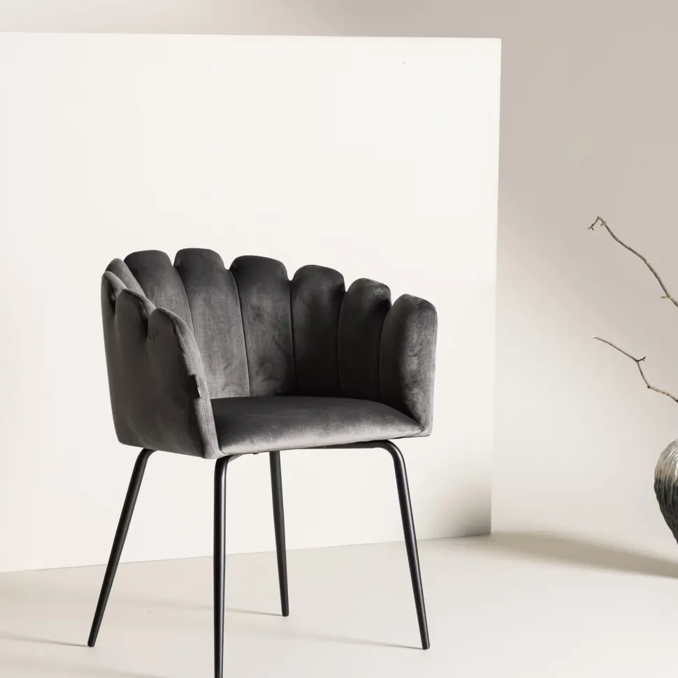 Eetkamerstoel Kyrstle Met armleuning, Velvet