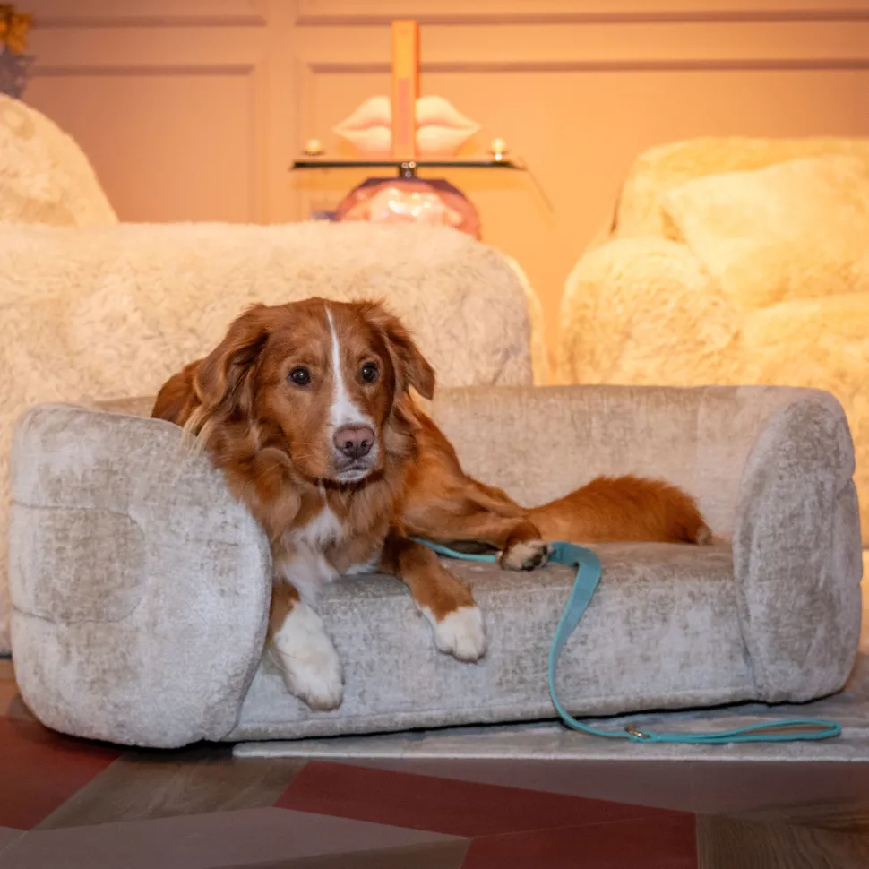 Huisdierenbed Bingo Chenille