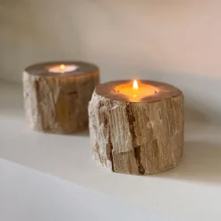 Kaarshouder Fossil Set van 2 stuks