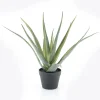 Kunstplant Aloë Vera 58cm hoog