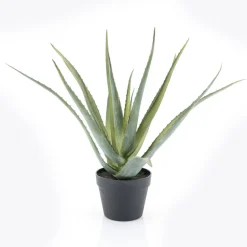 Kunstplant Aloë Vera 58cm hoog
