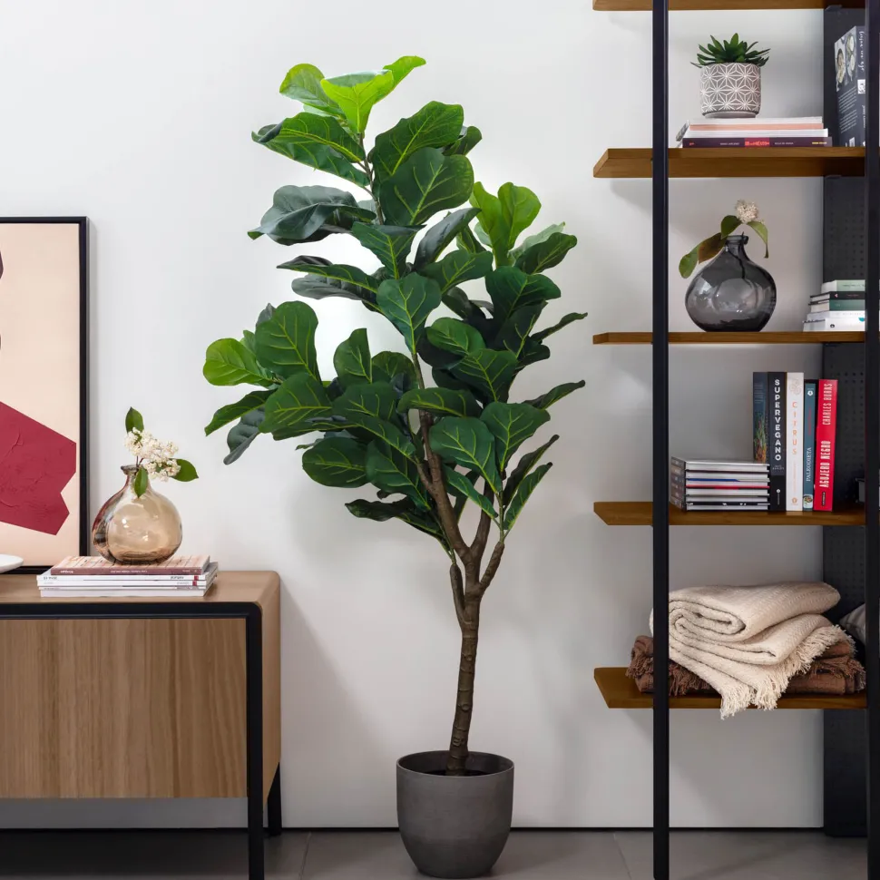 Kunstplant Ficus