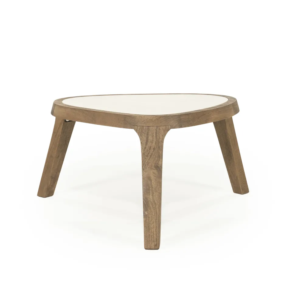 Organische Salontafel Fred Marmer en mangohout