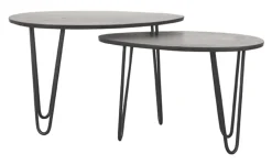 Organische Salontafel Frisk Mangohout, Set van 2 stuks