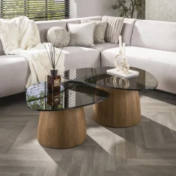 Organische Salontafel Kely Driehoek, set van 2 stuks, Brons glas