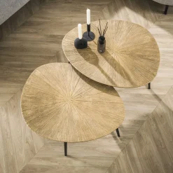 Organische Salontafel Miya Ray Metal, Set van 2 stuks