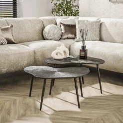 Organische Salontafel Teara Leaf Ray Metal finish, Set van 2 stuks