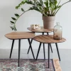 Organische Salontafel Tyquan Set van 3 stuks