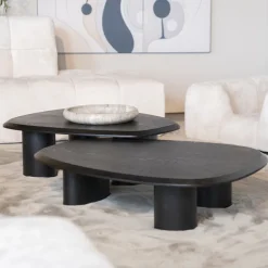 Organische Salontafel Walter Eiken, kleur Zwart (per stuk)