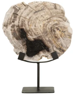 Ornament Fossil Versteend hout, 33cm hoog