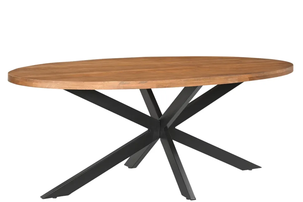 Ovale Eettafel Rocky Mangohout en staal