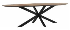 Ovale Eettafel Shape Teakhout