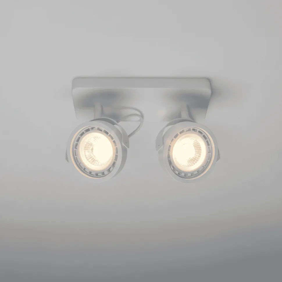 Plafondlamp Dice 2-lamps