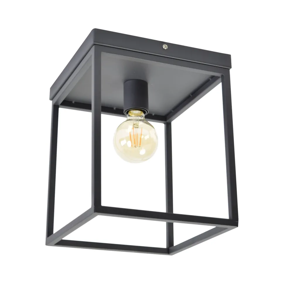 Plafondlamp Frame, kleur Zwart