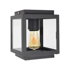 Plafondlamp Loft, kleur Vintage Black