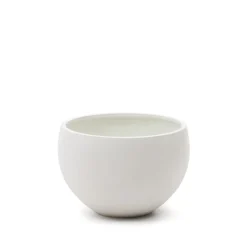 Plantenpot Grau kleur Wit