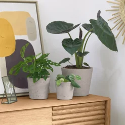 Plantenpot Low Set van 3 stuks