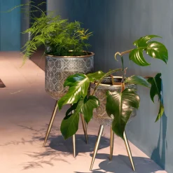 Plantenstandaard Botanique