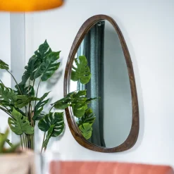 Spiegel Plecto Mangohout 120 x 70cm, Organisch