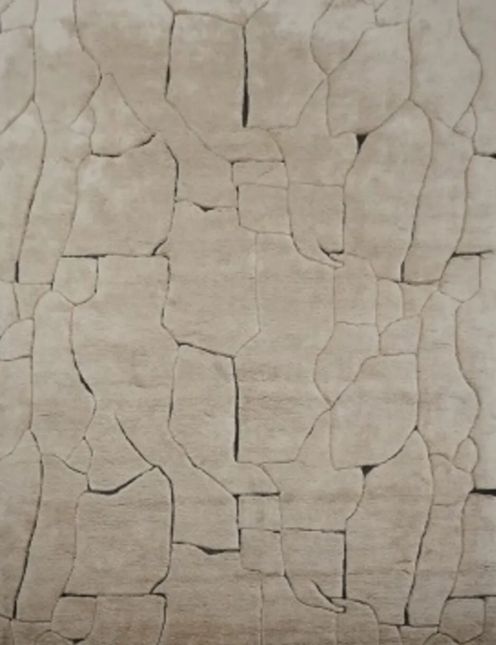 Vloerkleed Bhawan 300x400cm, kleur Bruin