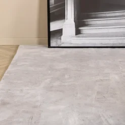 Vloerkleed Kitrina kleur Grijs