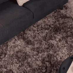 Vloerkleed Sambath kleur Bruin