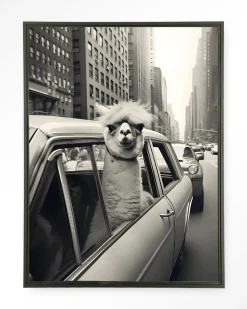 Wandkleed Alpaca In NY in maat en frame naar keuze