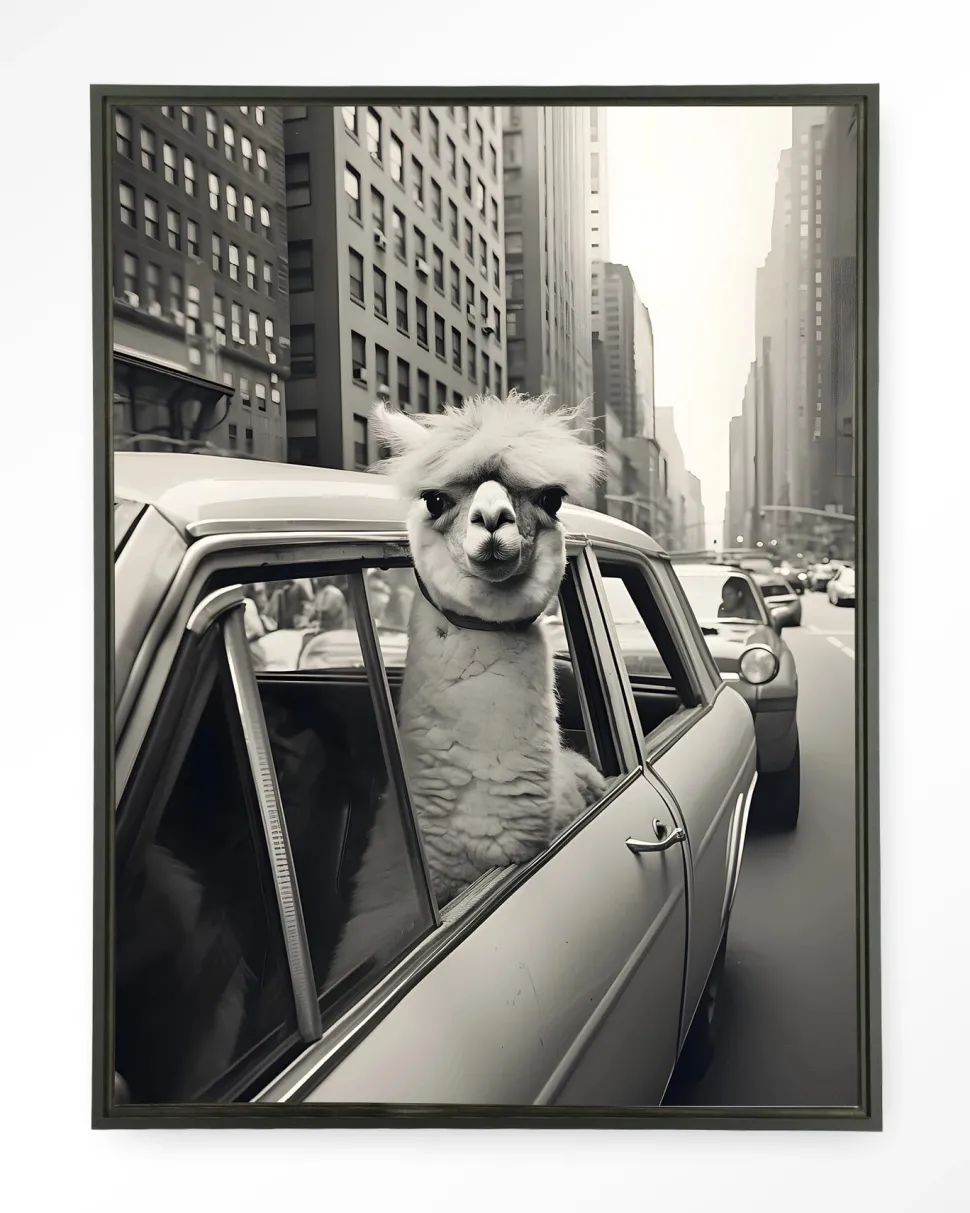 Wandkleed Alpaca In NY in maat en frame naar keuze