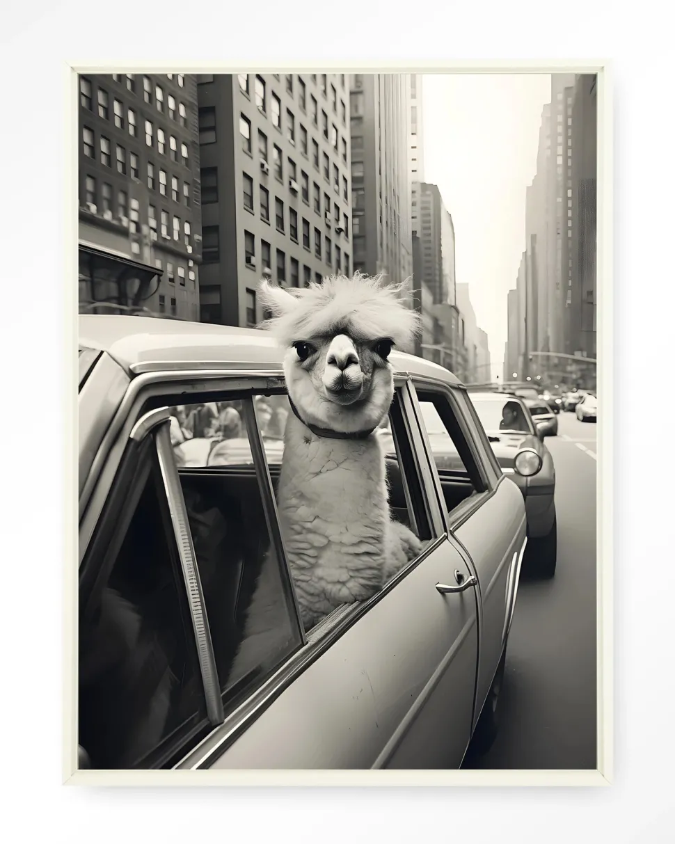 Wandkleed Alpaca In NY in maat en frame naar keuze