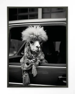 Wandkleed Alpaca In Taxi in maat en frame naar keuze