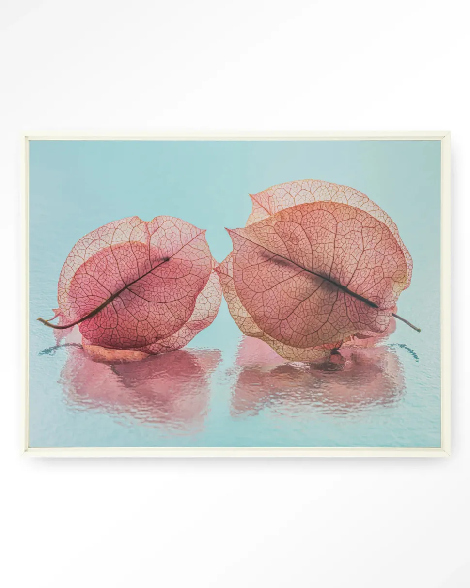 Wandkleed Fragiel Maar Samen in maat en frame naar keuze