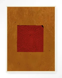 Wandkleed Geen Rood in maat en frame naar keuze