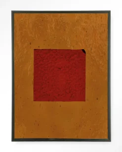 Wandkleed Geen Rood in maat en frame naar keuze