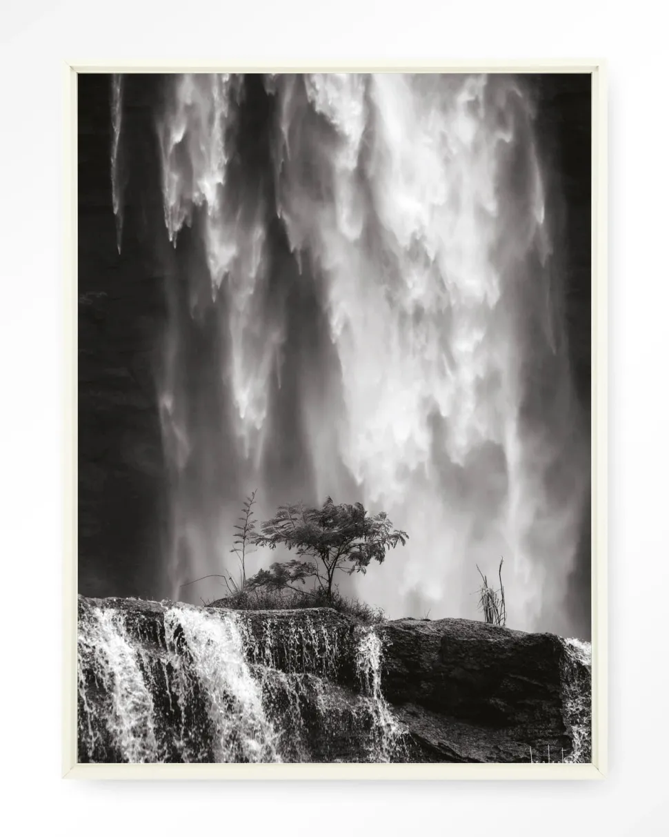 Wandkleed Germinate in maat en frame naar keuze