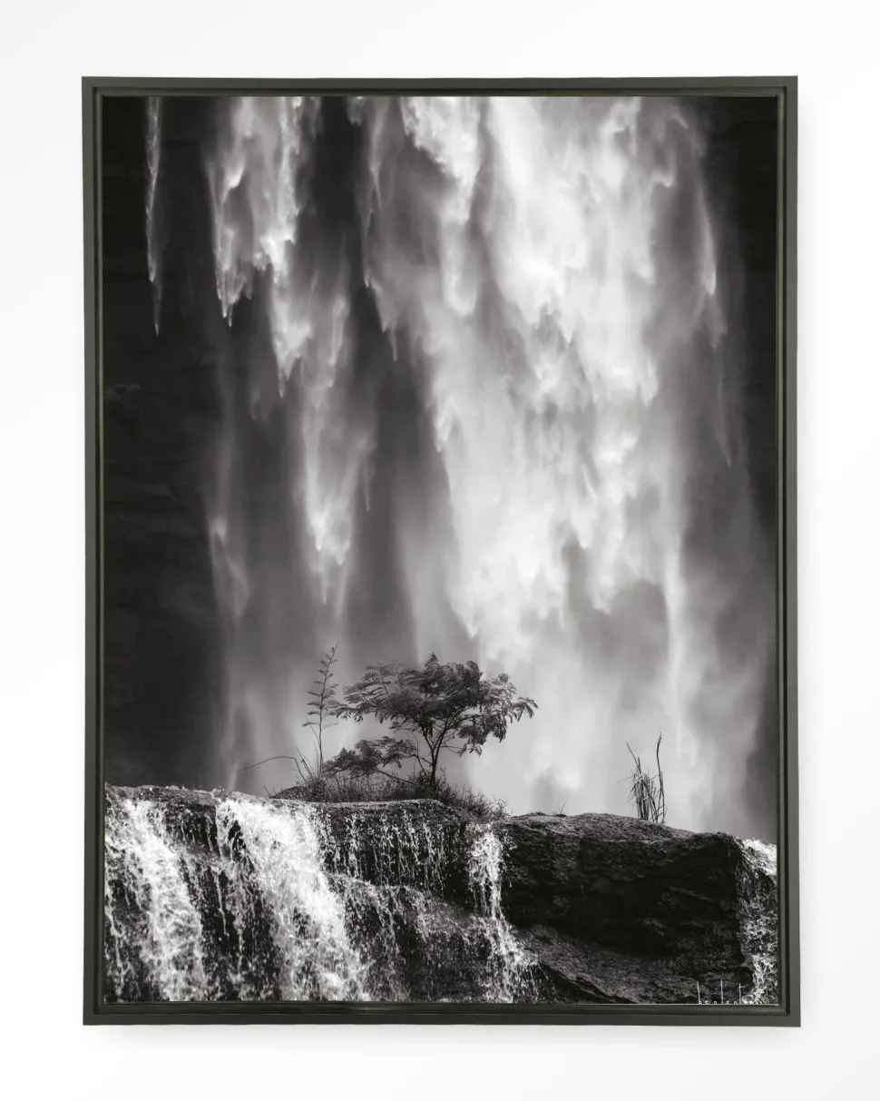 Wandkleed Germinate in maat en frame naar keuze