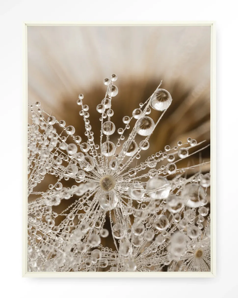 Wandkleed Landelijke Natuur in maat en frame naar keuze