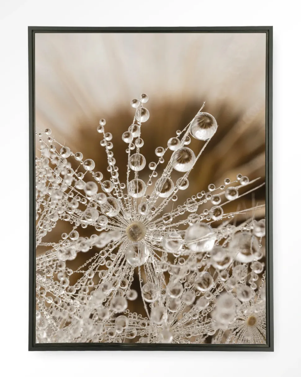 Wandkleed Landelijke Natuur in maat en frame naar keuze