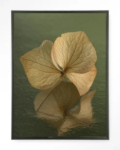 Wandkleed Leaf Me: In Reflection in maat en frame naar keuze