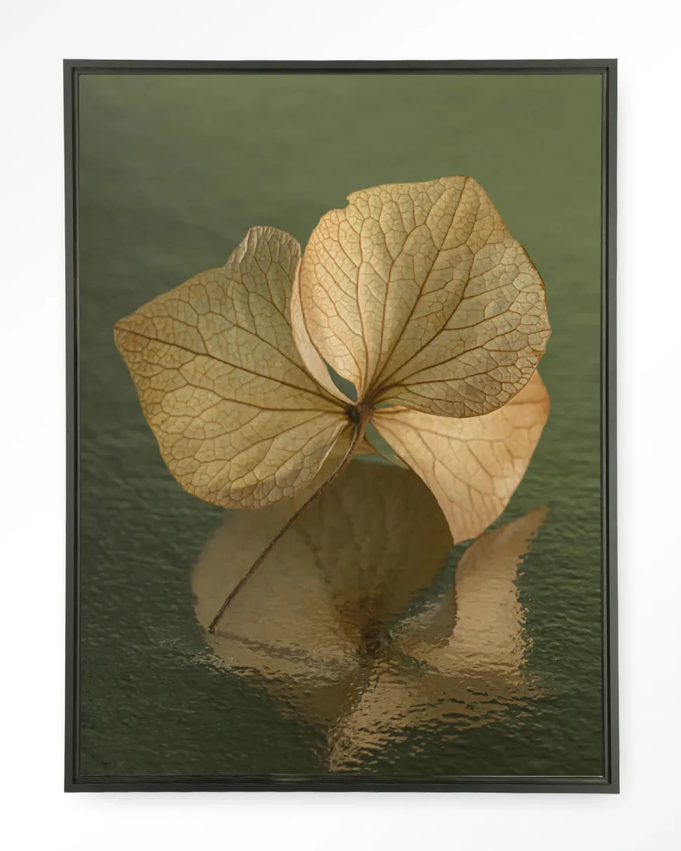 Wandkleed Leaf Me: In Reflection in maat en frame naar keuze