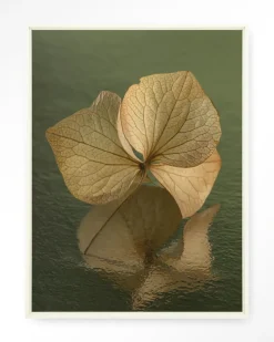 Wandkleed Leaf Me: In Reflection in maat en frame naar keuze
