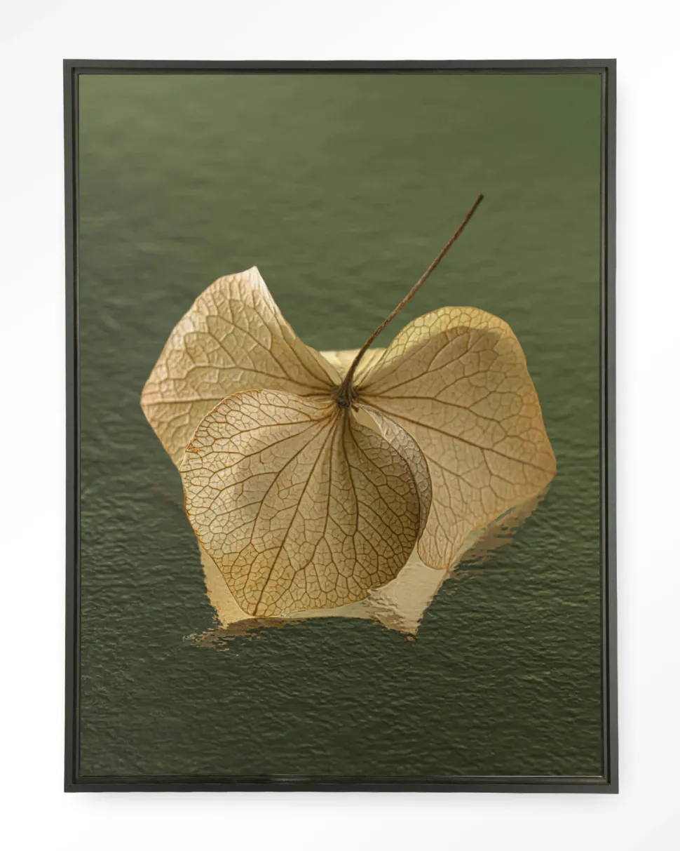 Wandkleed Leaf Me: In The Green in maat en frame naar keuze