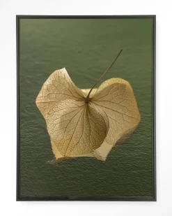 Wandkleed Leaf Me: In The Green in maat en frame naar keuze