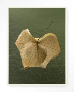 Wandkleed Leaf Me: In The Green in maat en frame naar keuze