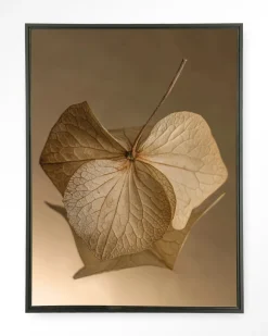 Wandkleed Leaf Me: Sheltered in maat en frame naar keuze