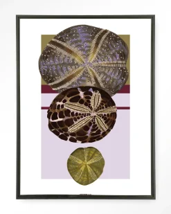 Wandkleed Marinus 1 in maat en frame naar keuze