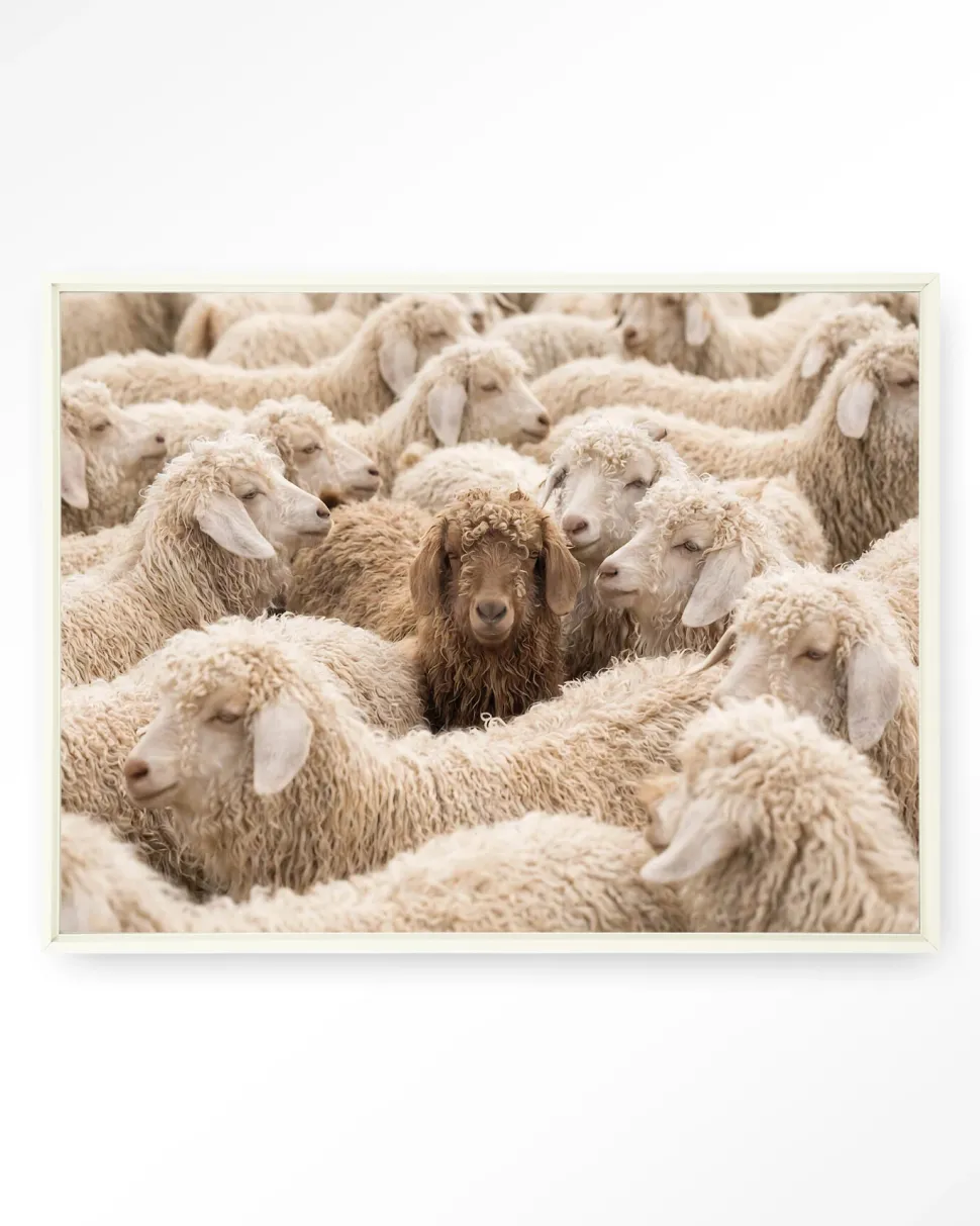 Wandkleed The Herd in maat en frame naar keuze